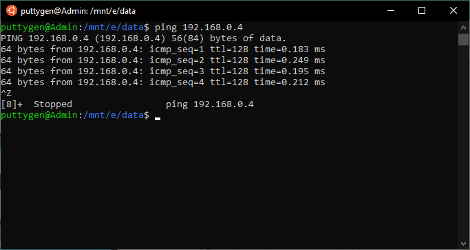 ping command