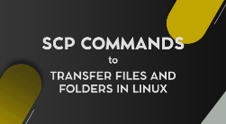 SCP Command to Transfer Files and Folders in Linux
