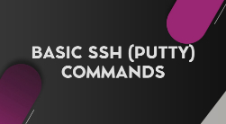 Basic SSH (Putty) Commands