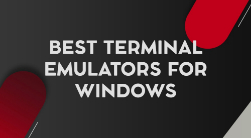 Terminal Emulator for Windows